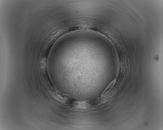 X0000097650093200802291500