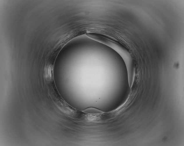 X0000097650094200802291500