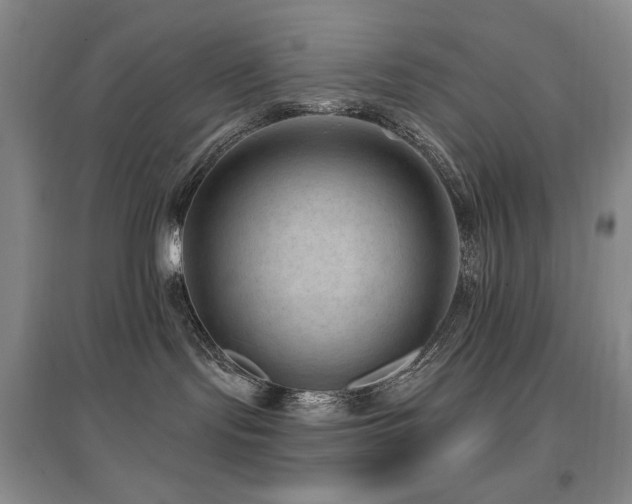 X0000097650095200802291500