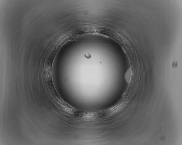 X0000097650096200802291500