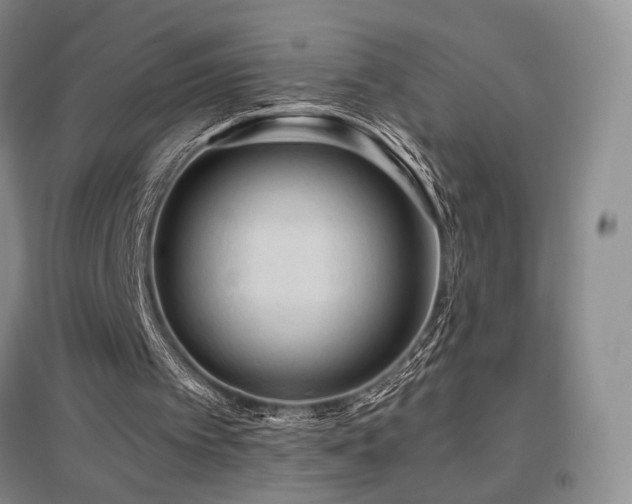 X0000097650097200802291459