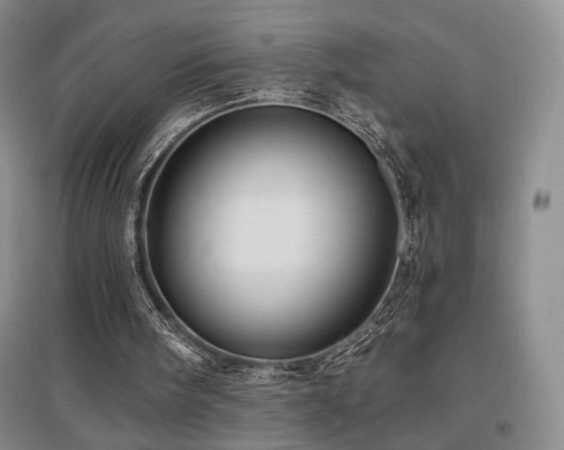 X0000097650098200802291459