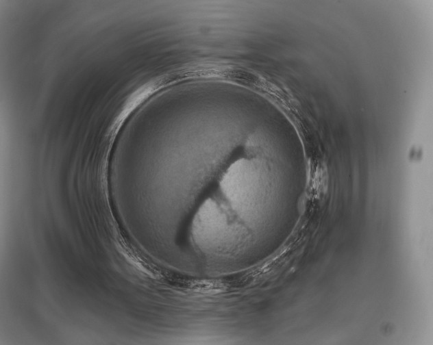 X0000097650099200802291459