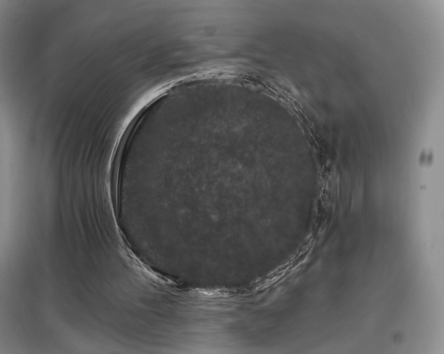 X0000097650100200802291459