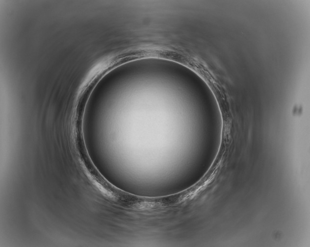 X0000097650101200802291459