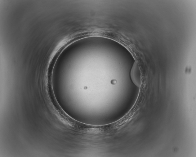 X0000097650102200802291459