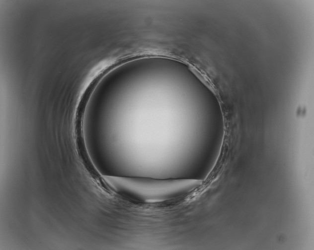 X0000097650104200802291459