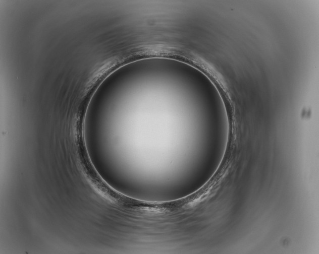 X0000097650105200802291459