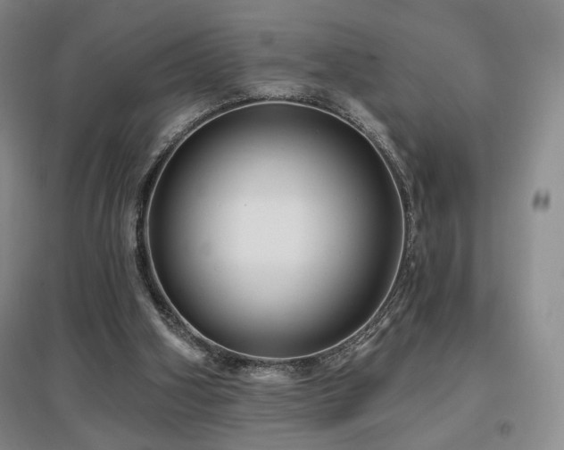 X0000097650106200802291459