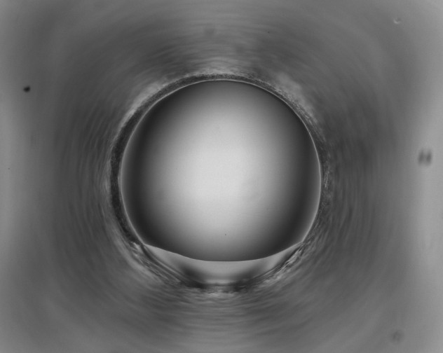 X0000097650108200802291459