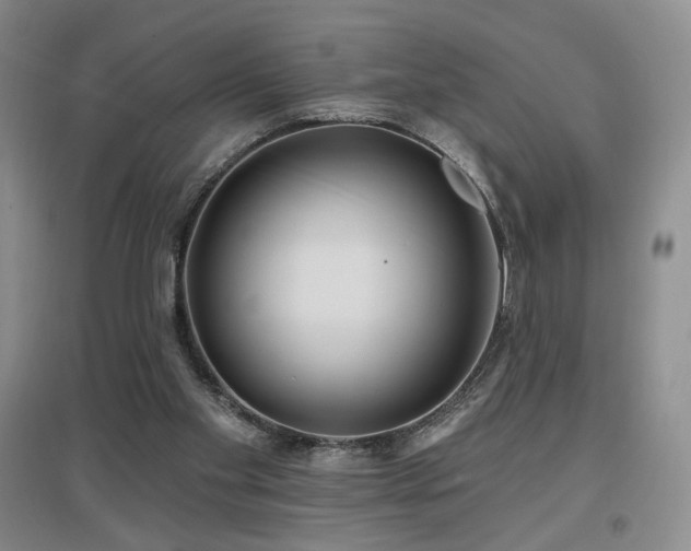 X0000097650109200802291459