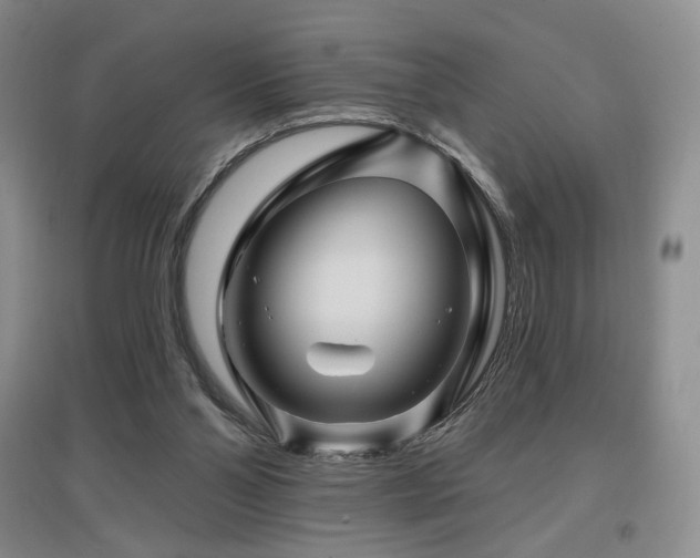 X0000097650110200802291459