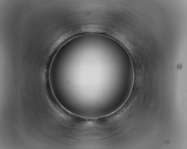 X0000097650111200802291459