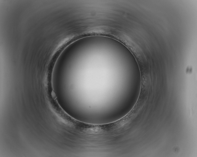 X0000097650112200802291459