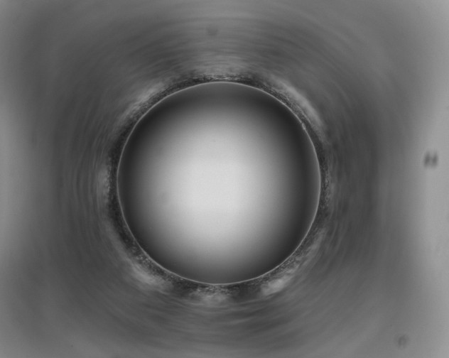 X0000097650113200802291459