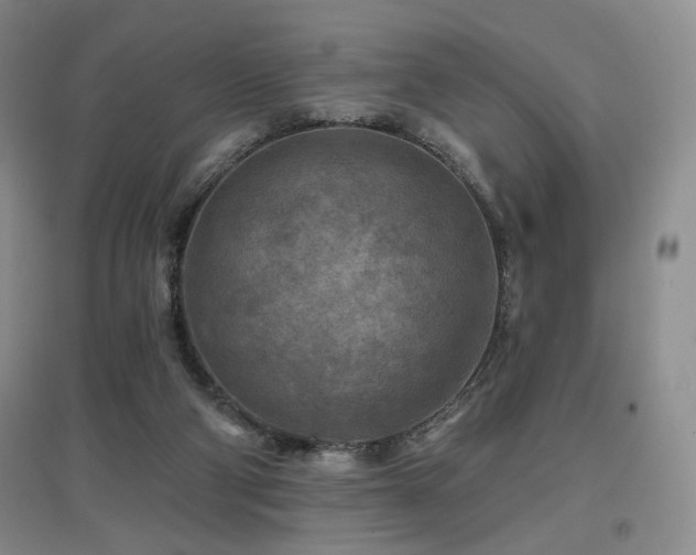 X0000097650114200802291459