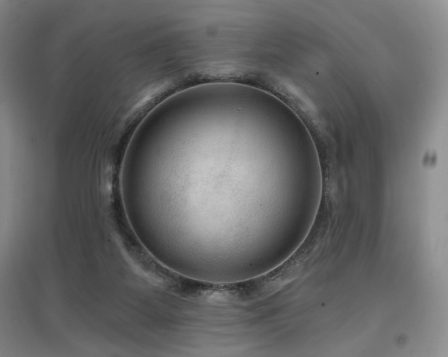 X0000097650115200802291459