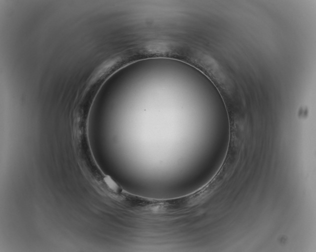 X0000097650116200802291459