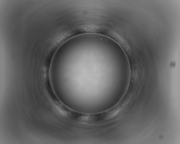 X0000097650117200802291459