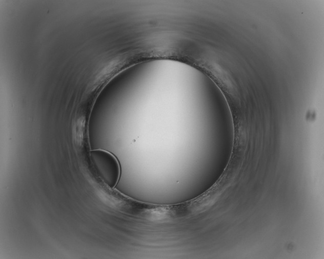 X0000097650118200802291459