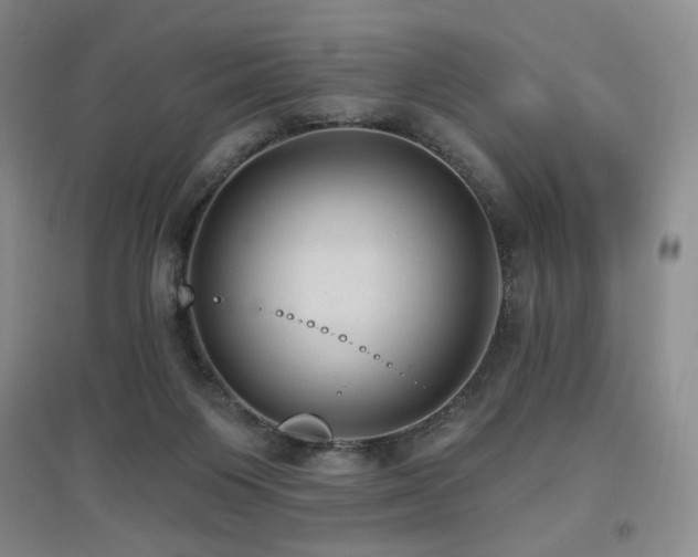 X0000097650119200802291459