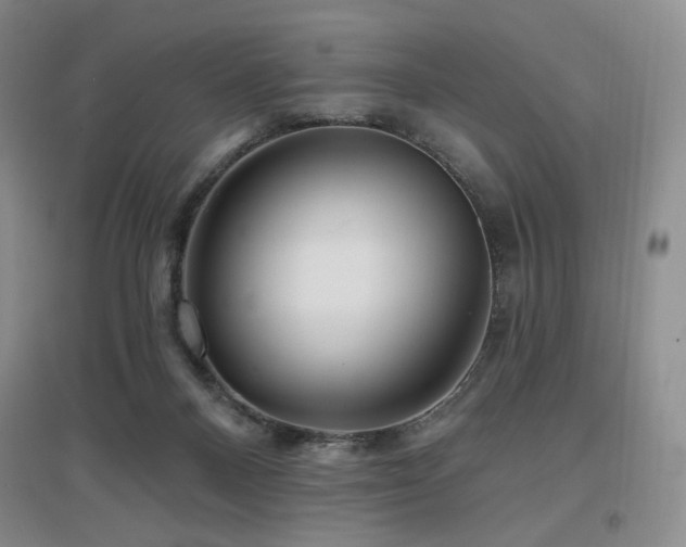 X0000097650120200802291459