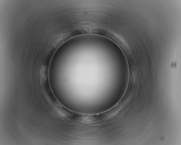 X0000097650121200802291459