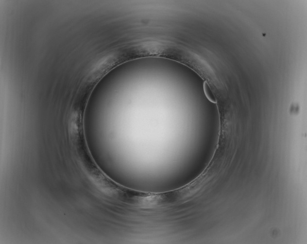 X0000097650122200802291459