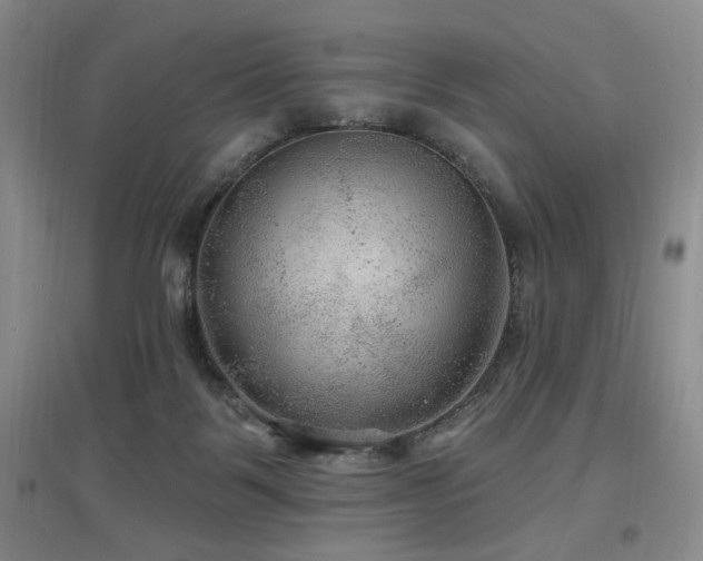 X0000097650123200802291459