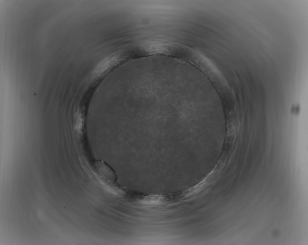 X0000097650124200802291459