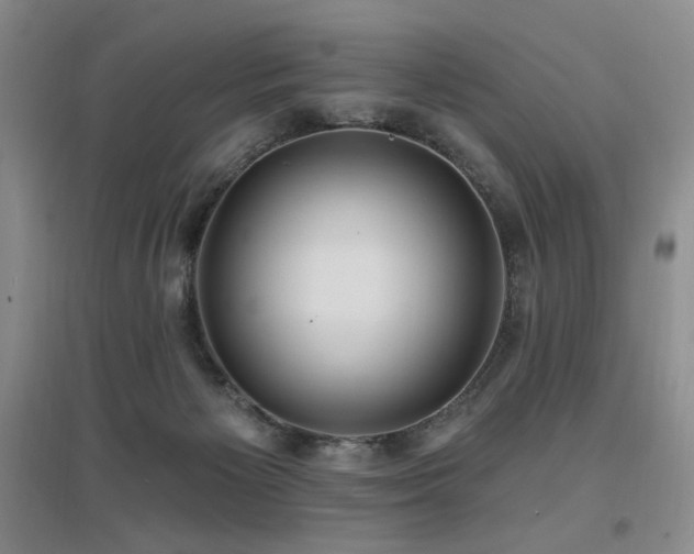 X0000097650125200802291459