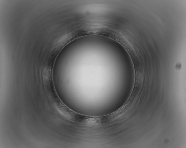 X0000097650126200802291459