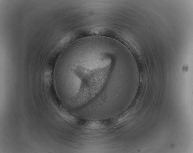 X0000097650127200802291459