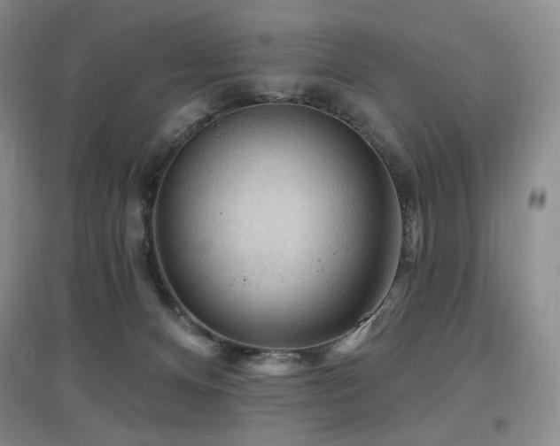 X0000097650128200802291459