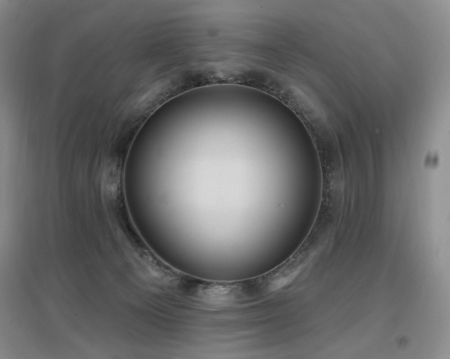 X0000097650129200802291458