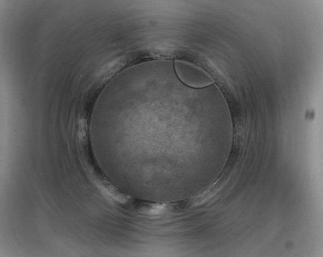 X0000097650130200802291458