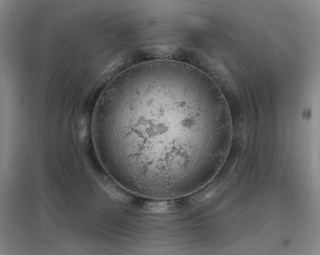 X0000097650131200802291458