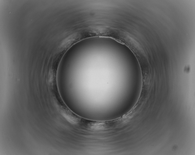 X0000097650132200802291458