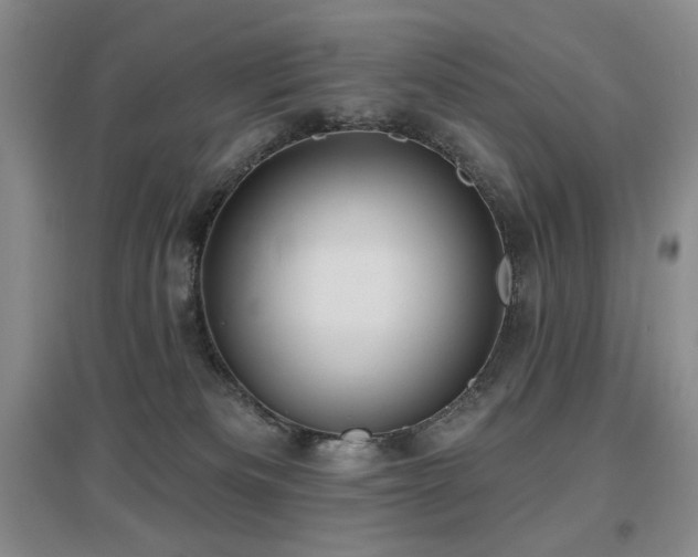 X0000097650133200802291458