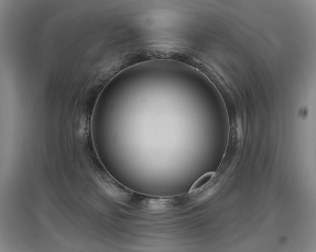 X0000097650134200802291458