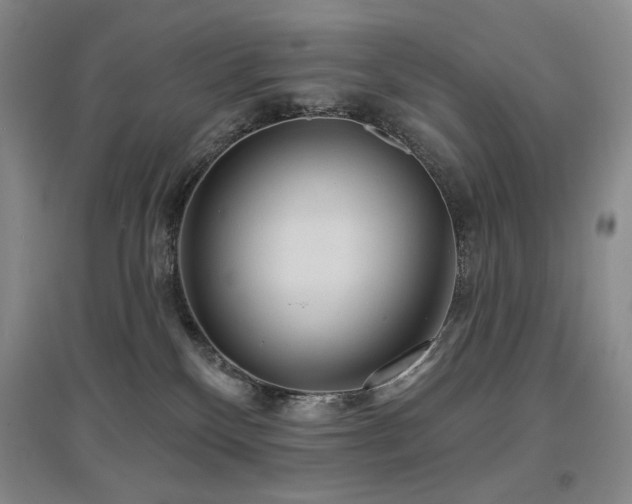 X0000097650136200802291458