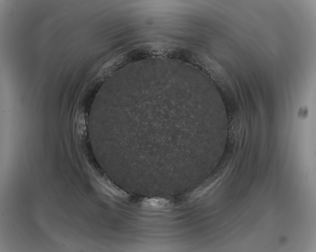 X0000097650137200802291458