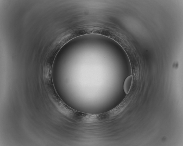 X0000097650138200802291458