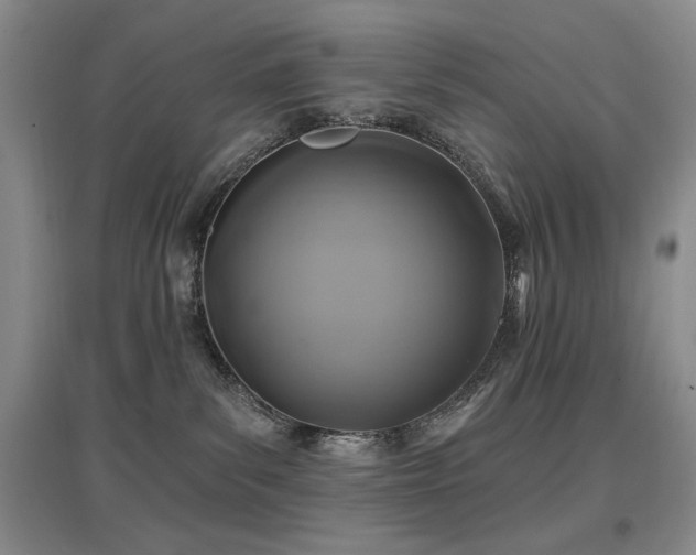 X0000097650139200802291458