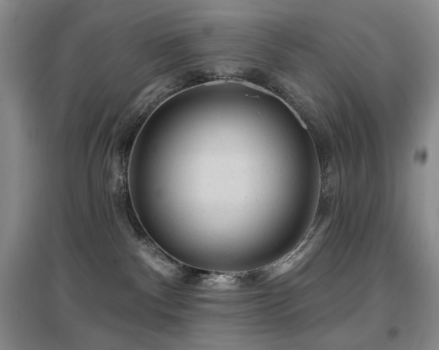 X0000097650140200802291458