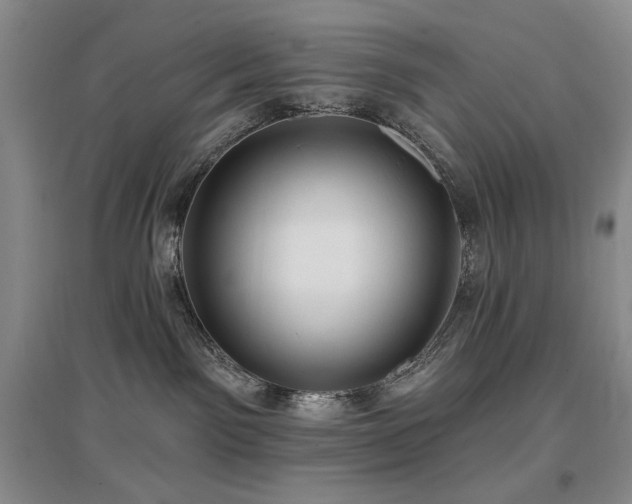 X0000097650141200802291458