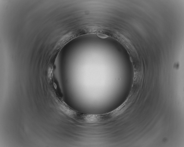 X0000097650142200802291458