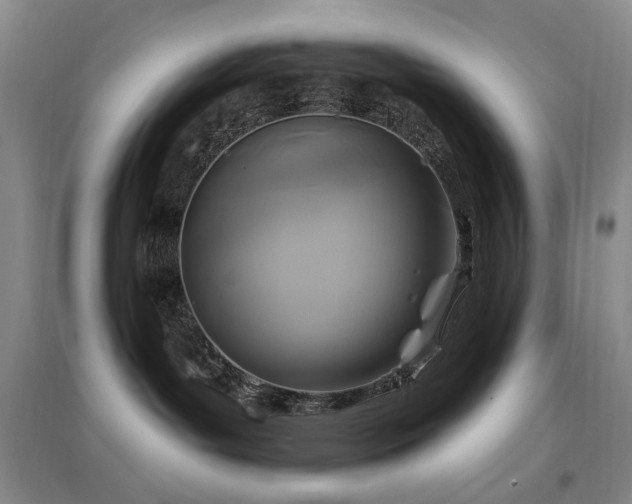 X0000097650143200802291458