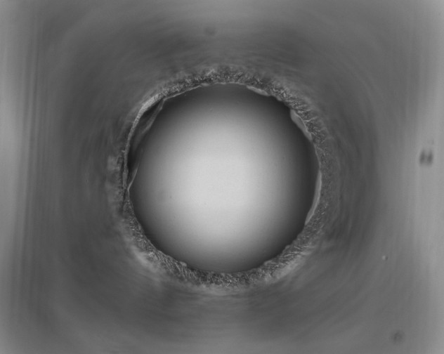 X0000097650144200802291458