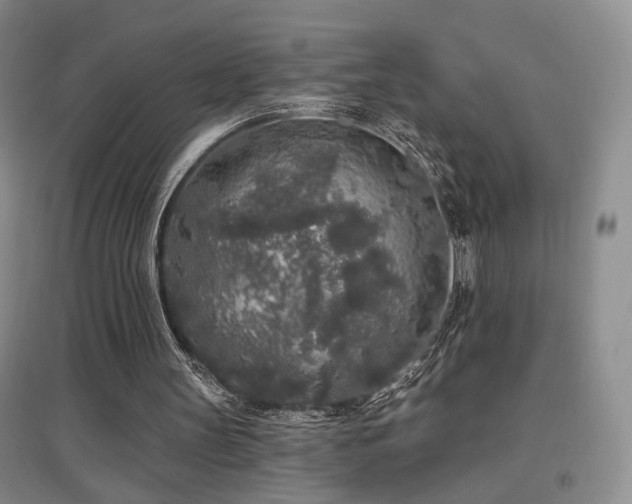 X0000097650147200802291458